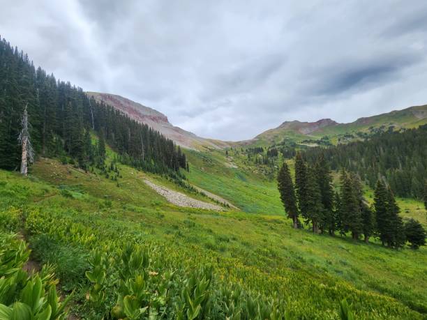 istock Colorado Mountain Biking Trail, Boulder Colorado 2180031899