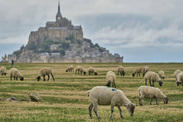 istock Le Mont Saint Michel, Normandy, France 2180033526