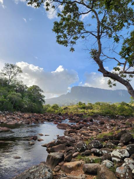 istock Mount Roraima: A Serene View from the Base of the Tepui 2180035242
