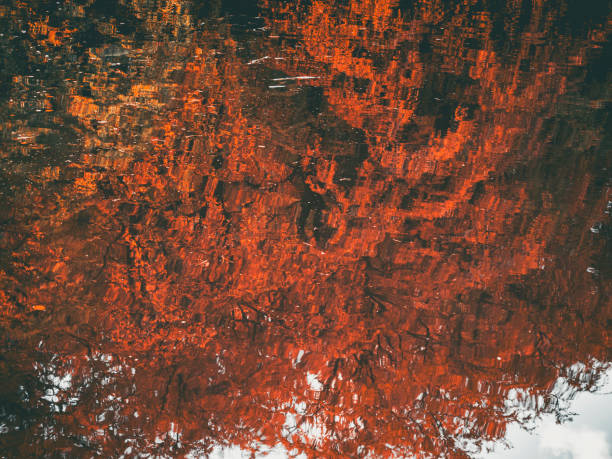 Abstract reflection of vibrant autumn foliage on a rippling water surface.