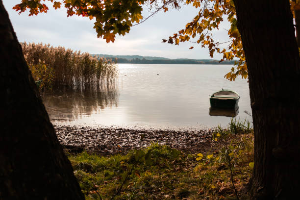 Autumn landscape with a boat on the lake in the park.