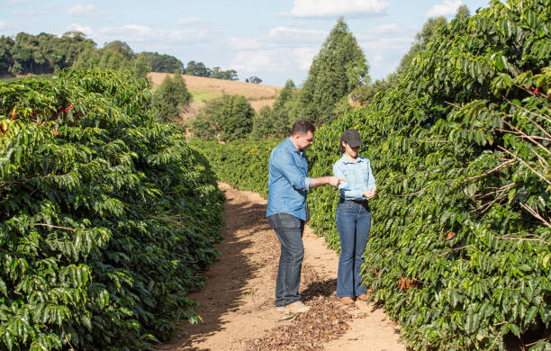 istock Farmers in coffee plantation 2180053627