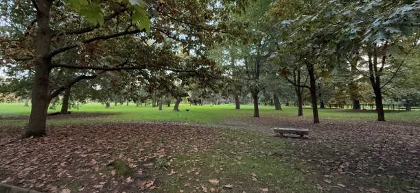 istock city park in autumn 2180053980