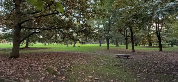 istock city park in autumn 2180053992