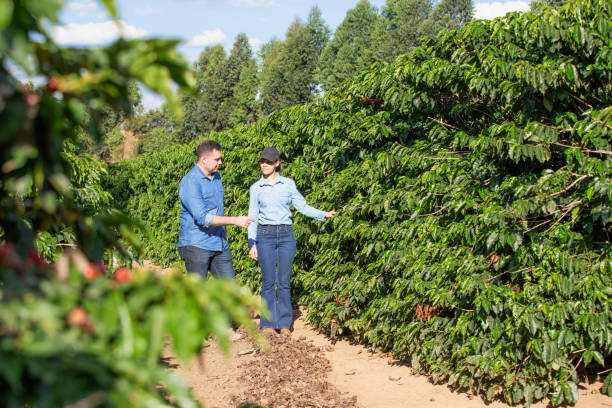 istock Farmers in coffee plantation 2180054370