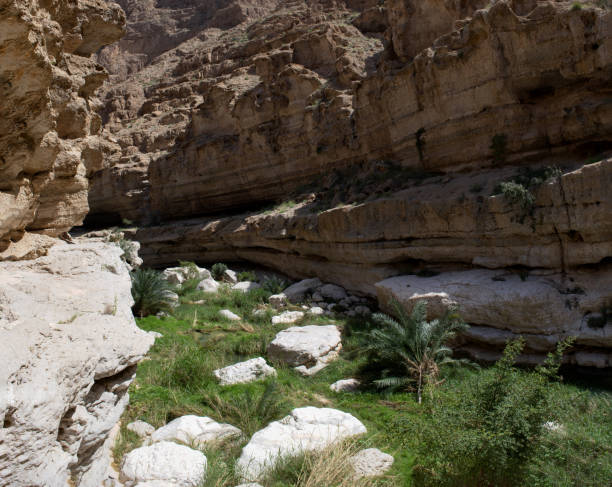 istock Canyon Wadi Ash Shab, Oman 2180055322