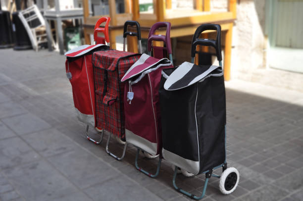 The Colorful Shopping Trolleys Arranged in a Row Outdoors