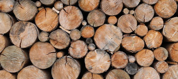 istock stacked dry firewood as a background 2180058015