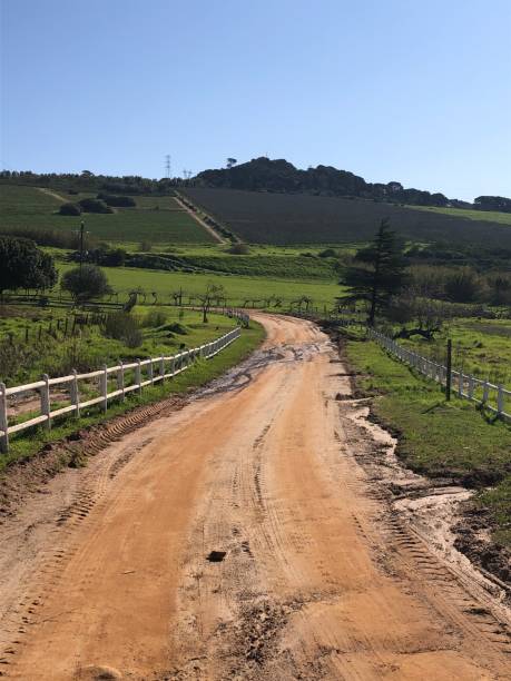 istock A path going to a hill, in Paarl, in South Africa 2180062077