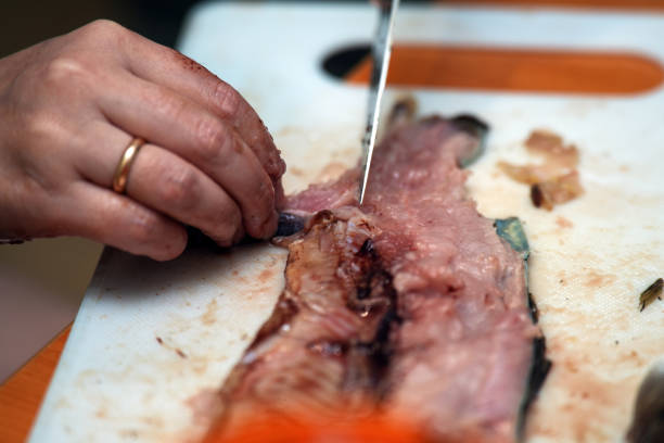 meticulous process of preparing red fish for cooking, highlighting the skilled technique of filleting as a fusion of culinary art and nature's bounty