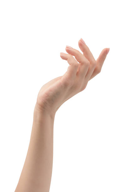 istock Woman hands with nude manicure isolated on a white background. 2180072688