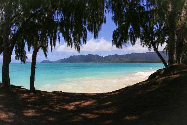 Oahu's windward side presents a stunning vista framed by trees, with its vibrant turquoise waters gently lapping the shore and the distant mountains completing the picturesque scene.