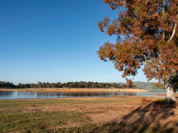 istock Tree next to lake in late afternoon sun light 2180081372