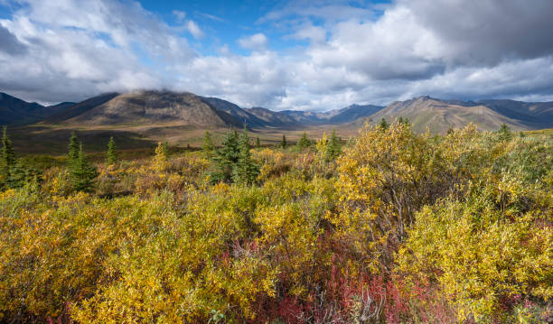 istock North Fork Pass in Tombstone Territorial Park 2180081508