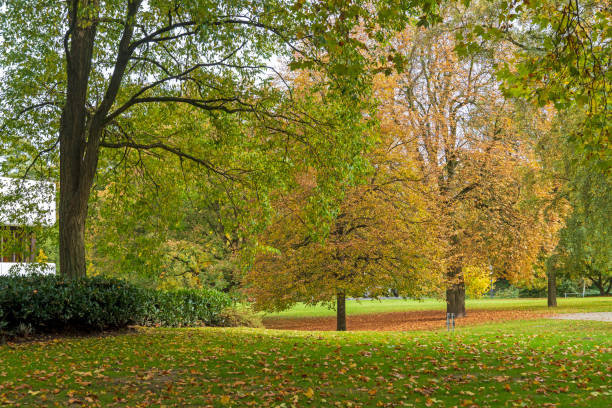 istock Park Landscape in Autumn 2180085026