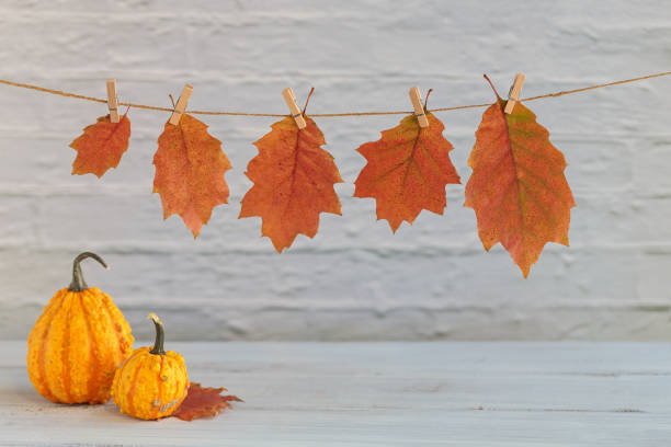 istock Fall Seasonal Background. Thanksgiving mockup 2180086816