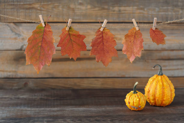 istock Fall Seasonal Background. Thanksgiving mockup 2180086817