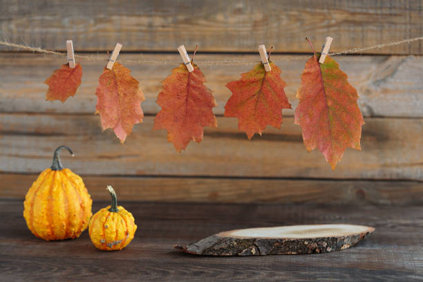 istock Fall Seasonal Background. Thanksgiving mockup 2180086829