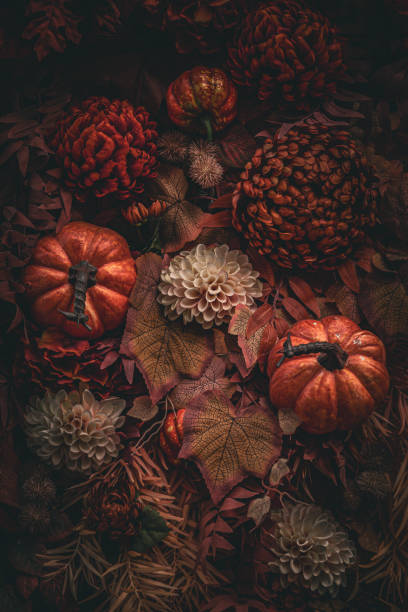 Orange Flowers Background, full frame.\t