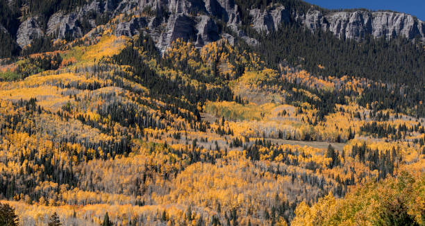 istock Autumn at the San Juans 2180098489