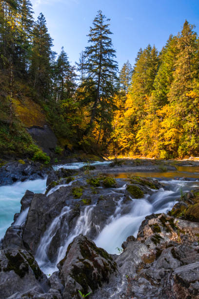 istock Cowichan River Provincial Park 2180102320
