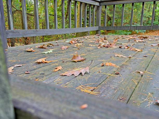 Wooden Deck with Fallen Autumn Leaves in a Forest