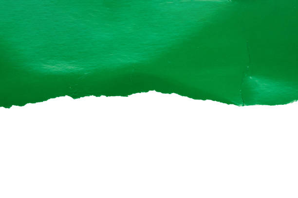 Green ripped paper torn edges strips isolated on white background