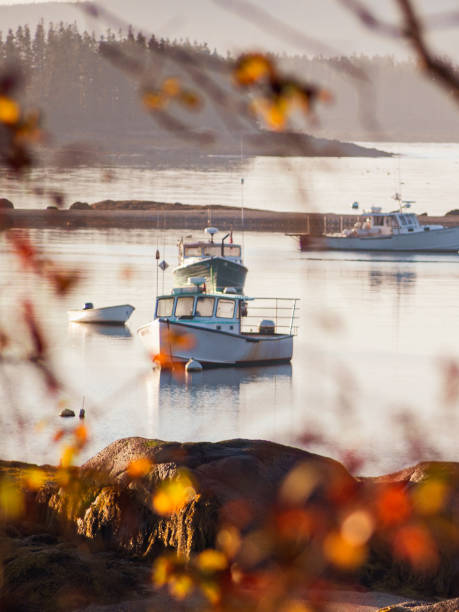 Moored Lobster boats off Deer Isle, Maine