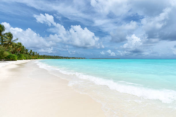 istock Tropical paradise beach scene for background or wallpaper 2180114101