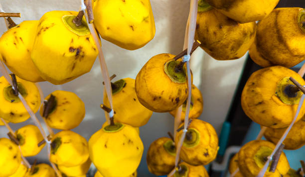 istock Japanese Autumn dried persimmons (Hoshigaki) 2180115855