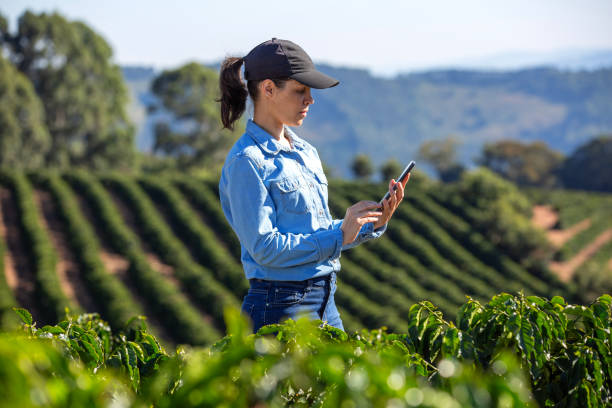 istock Farmer in coffee plantation 2180116255