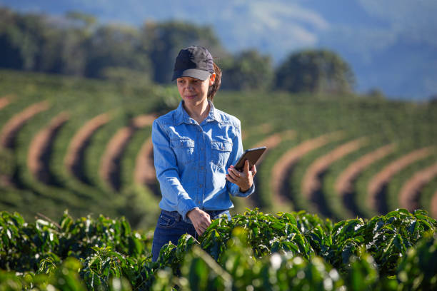 istock Farmer in coffee plantation 2180116276