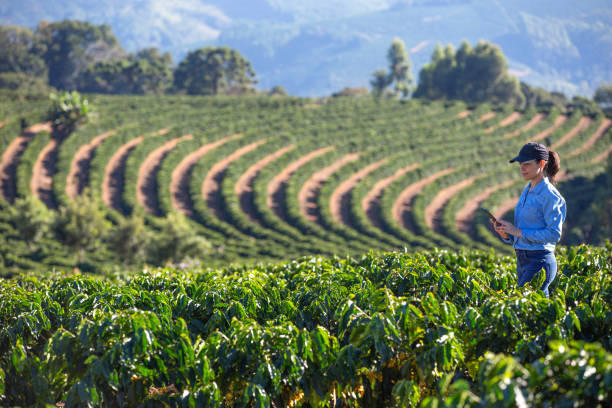 istock Farmer in coffee plantation 2180116278