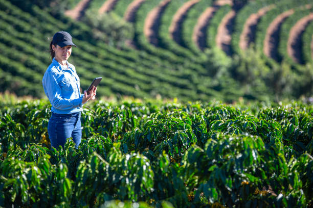 istock Farmer in coffee plantation 2180116280