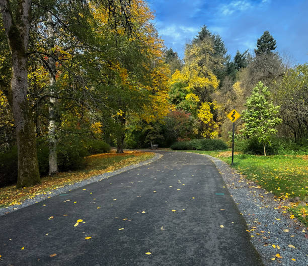istock Washington Park Arboretum Fall Colors 2180125164