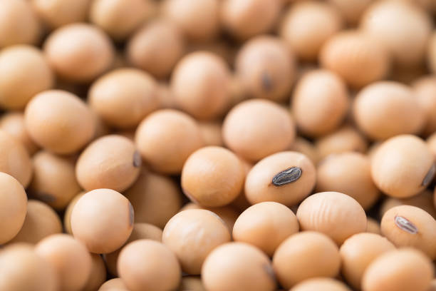 Close-Up Of Soybeans In Bowl On Wooden Table