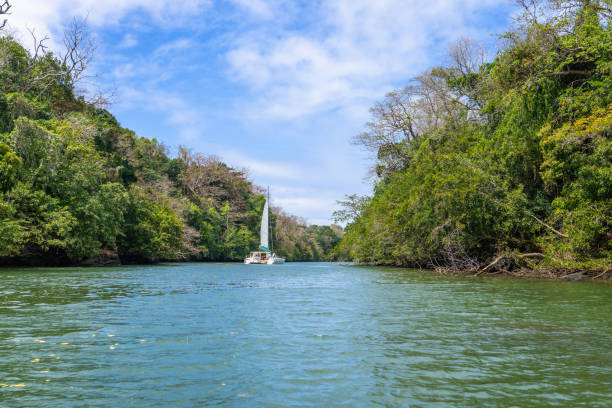 A serene catamaran is anchored in a tranquil lagoon at Ile aux Cerfs, Mauritius. Lush greenery lines the shore, creating a picturesque tropical setting. Ile aux Cerfs, Mauritius, Indian Ocean.