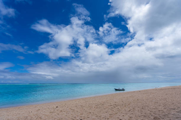 Visitors experience the thrill of paragliding in the beautiful lagoon of Ile Aux Cerfs, Mauritius. Visitors can glide effortlessly on the calm waters, surrounded by stunning scenery.
