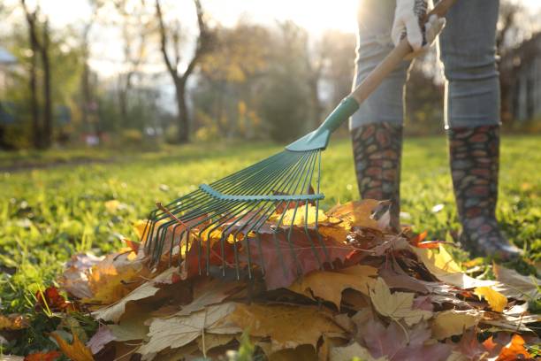 istock Woman raking fall leaves in park, closeup. Space for text 2180133839