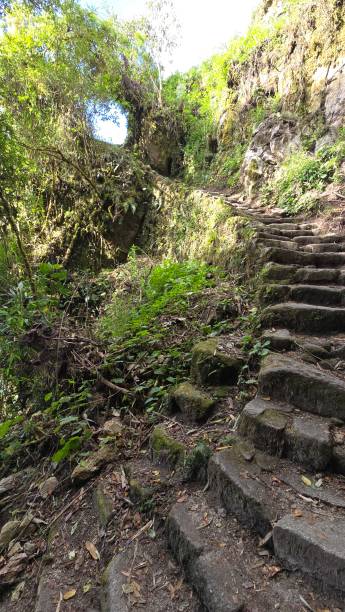 istock Stone path Inca Trail to Machu Picchu 2180139284