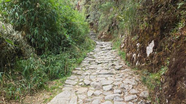 istock Stone path Inca Trail to Machu Picchu 2180139292