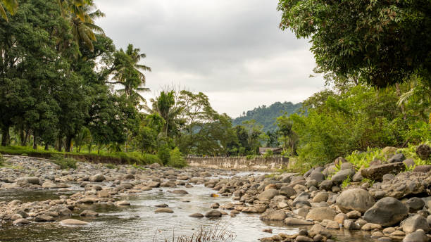 istock beautiful view of the river dam 2180140234