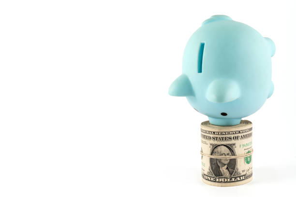 Blue piggy bank and a stack of 1 US dollar bills