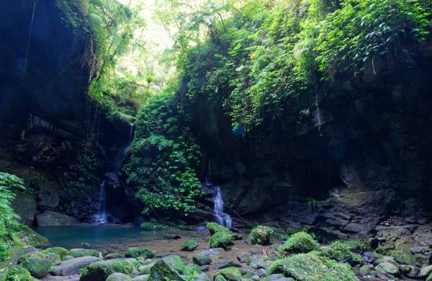 istock A cool refreshing  small waterfall tumbling down the cliff into an emerald pond hidden in a mysterious forest of lush greenery. River scenery of Taiwan in springtime. in Sanmin Bat Cave, Taoyuan 2180144914