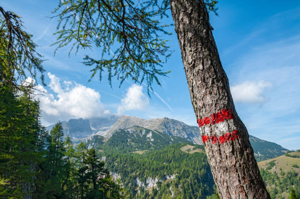 Impressive views when hiking in the Upper Austrian mountain regions. The red-white-red markings serve as an orientation aid for hikers in foggy conditions. (Warscheneckgruppe / Totes Gebirge / Northern Limestone Alps)