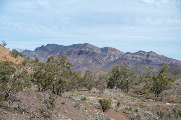 istock Scenic views in the Flinders Ranges South Australia 2180146208