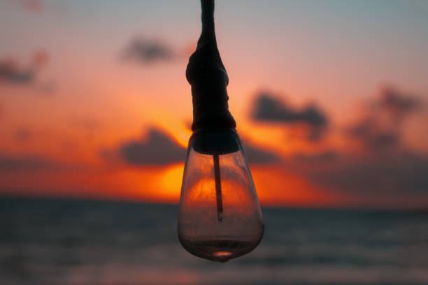 pojuca district, Pernambuco state, Brazil: Incandescent lamp backlit by sunrise.