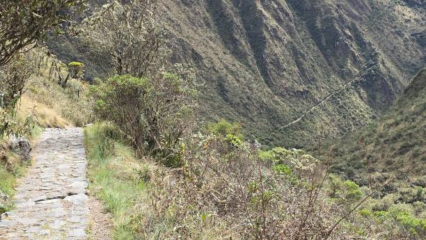 istock Stone path Inca Trail to Machu Picchu 2180148733