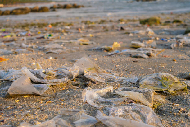istock Trash, plastic cups and plastic bags at the beach. environmental problem concept and healing the world 2180154254