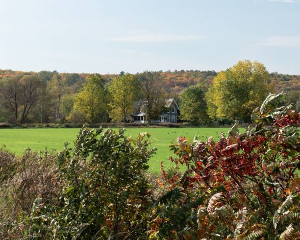 istock Countryside house in autumn landscape 2180154410